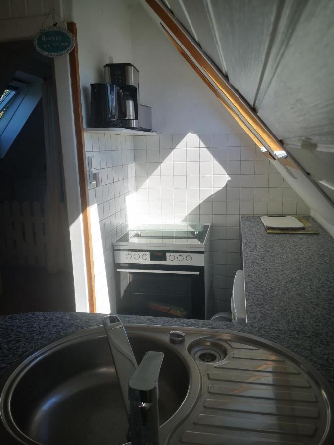 Ferienwohnungen Und Ferienhaus Im Nixenweg ホーヴァハト エクステリア 写真